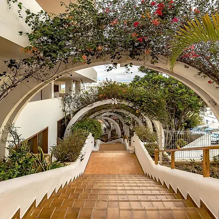 Lejlighed Ocean View In Park Royal I Costa Adeje (Tenerife)